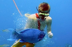 St. Thomas Snuba cruise excursion